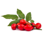 rosehip
