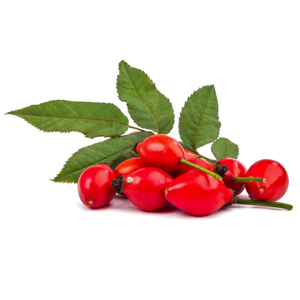 rosehip