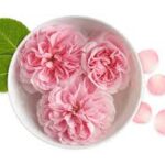 rose water