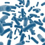 probiotics